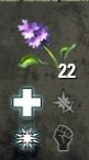 WaterHyacinth.jpg
